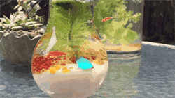 ΢ͼƬ_20181001095145.gif